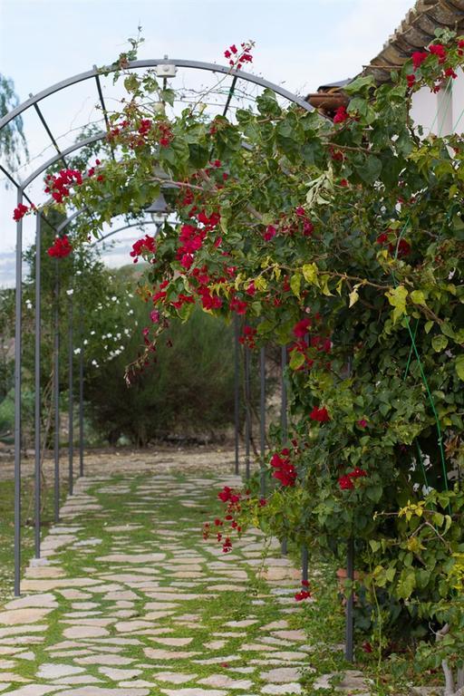 Agriturismo Baglio Donna Santa Dattilo Εξωτερικό φωτογραφία